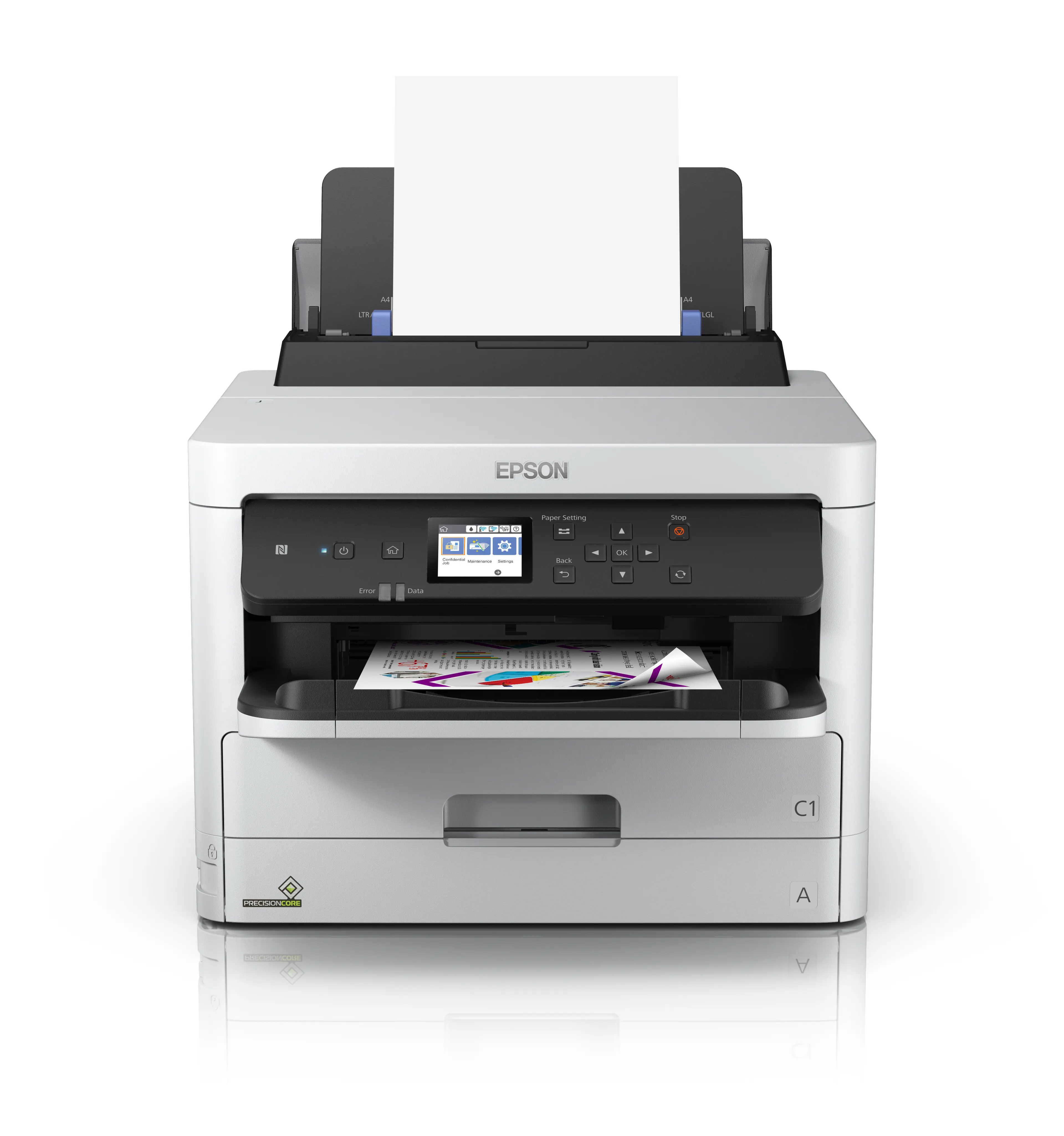EPSON WorkForce Pro WF-C529R / C579R Black XXL C13T01D100