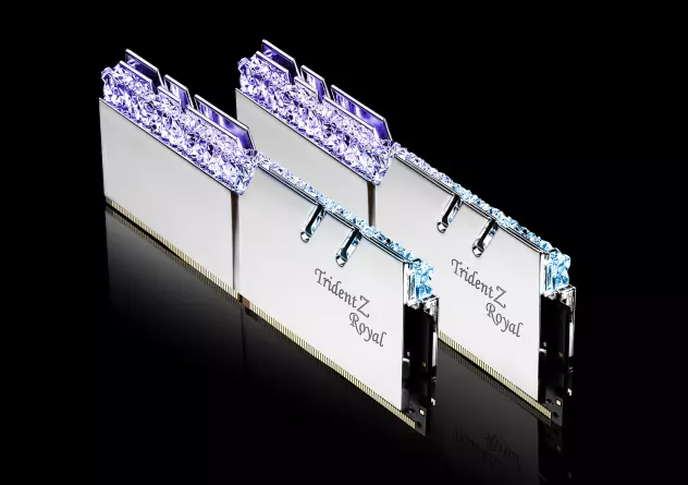 G.SKILL 3200C16D-32Gtrs Memory Module F4-3200C16D-32GTRS