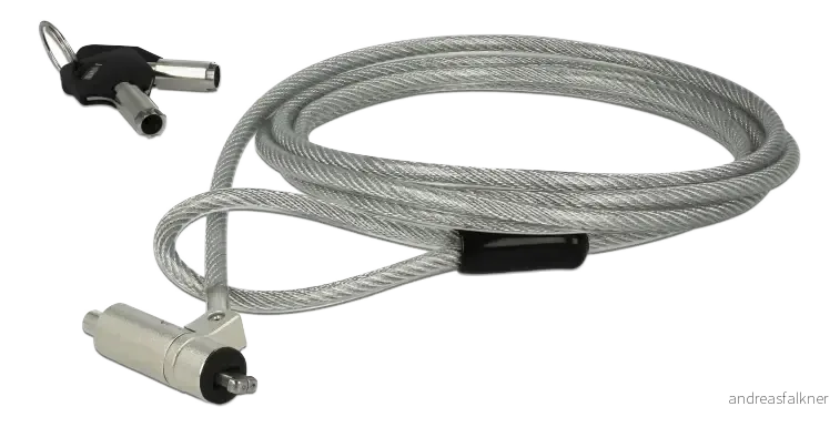DELOCK Laptop Security Cable with Key Lock for HP Nano slot 20655