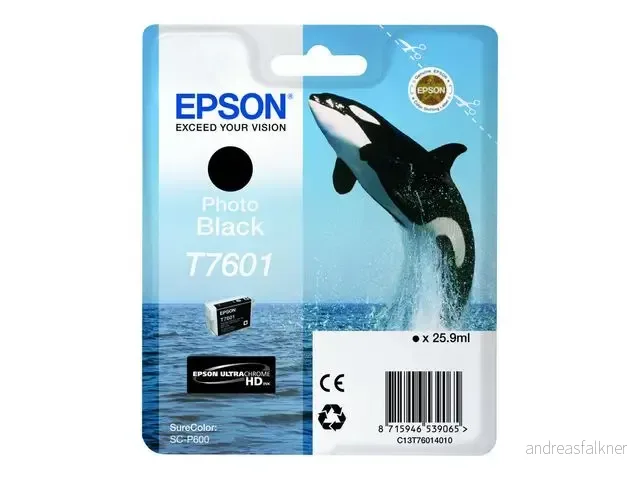 EPSON Ink Cart/T7601 Photo Black C13T76014010
