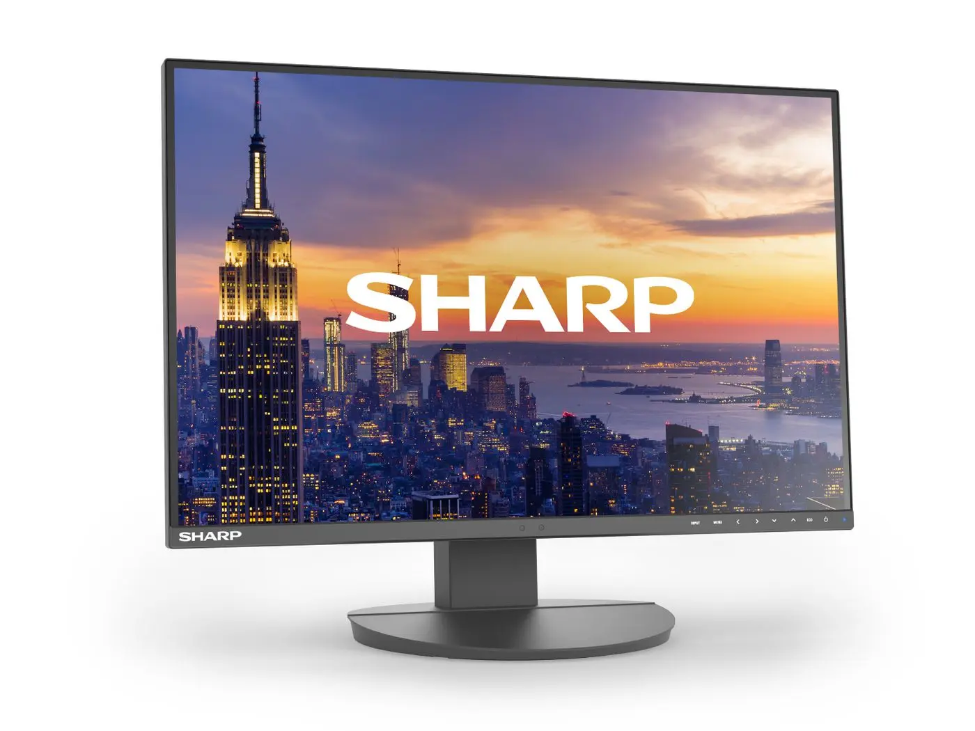 SHARP EA242W, 24" LCD Monitor, DDEA242W